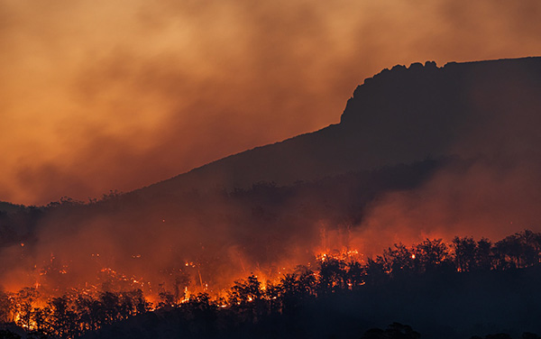 Image of a bushfire on the side of a hill. Photo credit: Matt Palmer, Unsplash