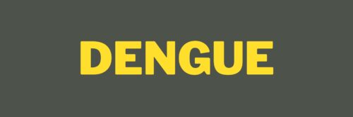 Grey banner reading Dengue in bold yellow text