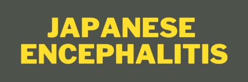 Grey banner reading Japanese Encephalitis in bold yellow text